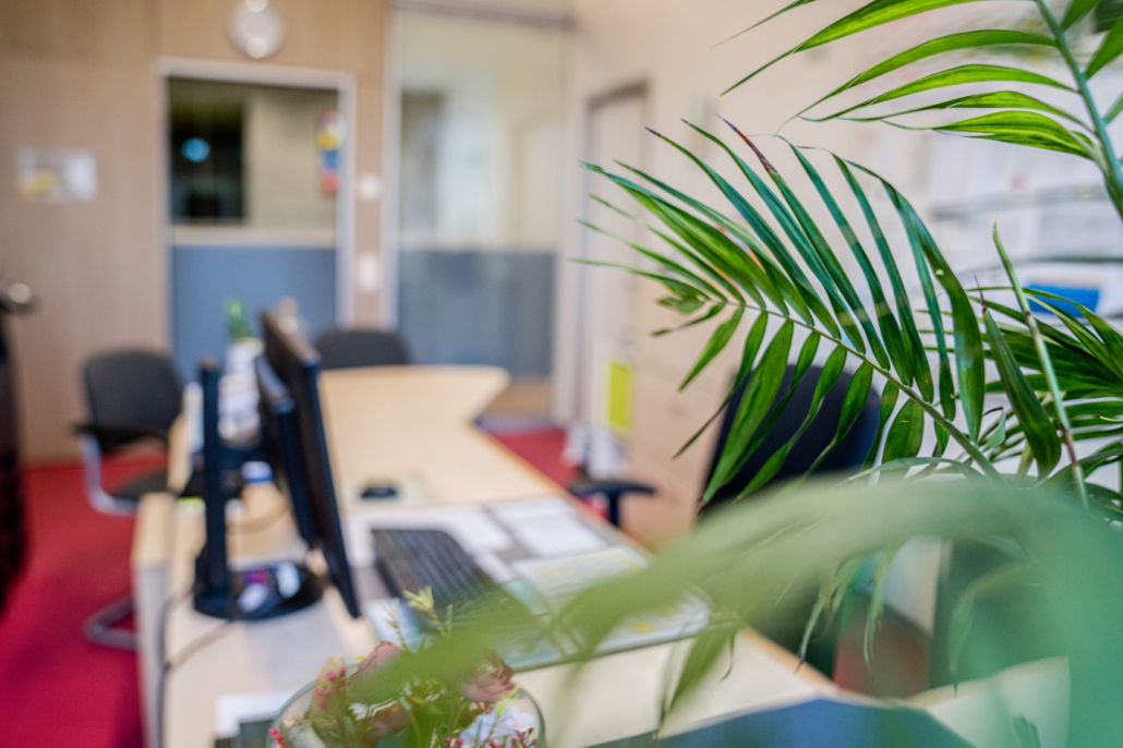 Das Sekretariatsbüro unscharf durch eine Zimmerpalme gesehen Das Sekretariatsbüro unscharf durch eine Zimmerpalme gesehen