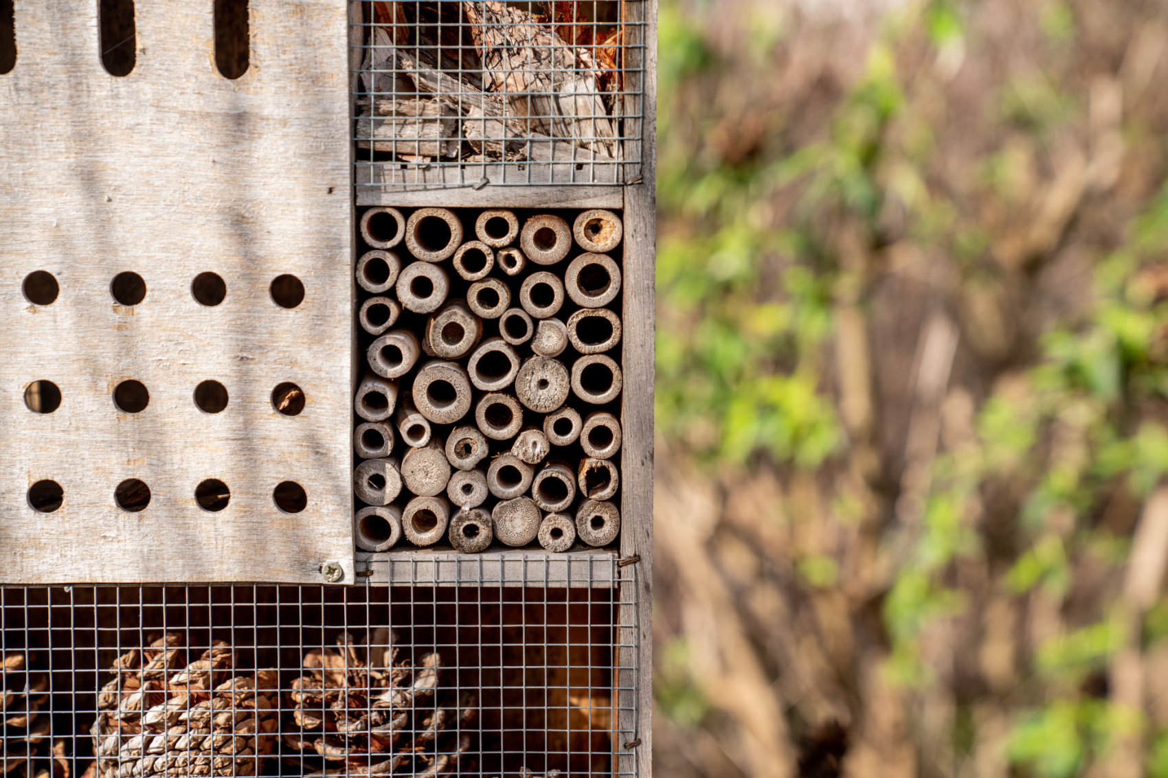 Teilansicht eines Insektenhotels in Nahaufnahme Teilansicht eines Insektenhotels in Nahaufnahme